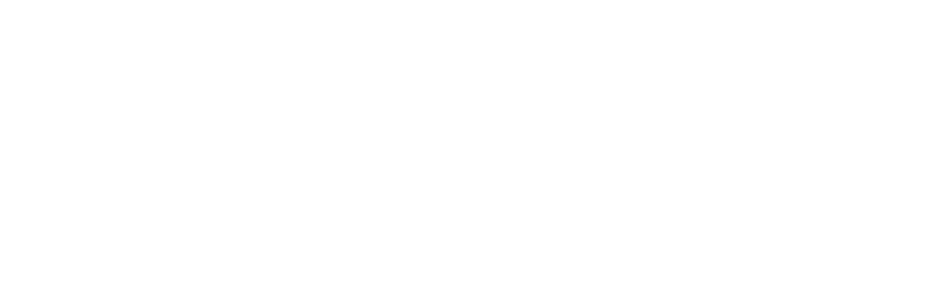 weißes PBVI-Logo mit dem Schriftzug Planung Bauüberwachung Vermessung Infrastruktur GmbH